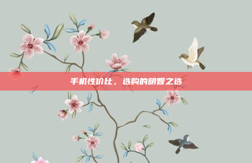 手机性价比,选购的明智之选