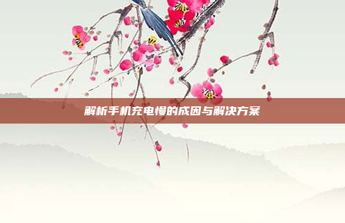 解析手机充电慢的成因与解决方案