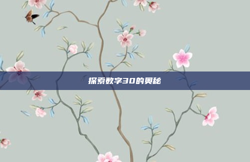 探索数字30的奥秘