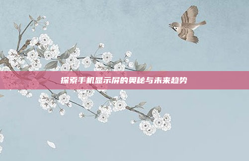 探索手机显示屏的奥秘与未来趋势