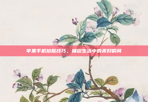 苹果手机拍照技巧,捕捉生活中的美好瞬间