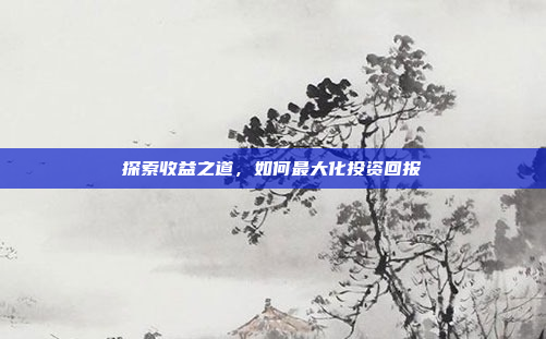 探索收益之道,如何最大化投资回报