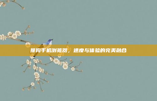 搜狗手机浏览器,速度与体验的完美融合