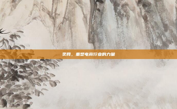 卖网,重塑电商行业的力量