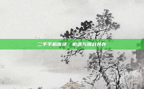二手手机市场,机遇与挑战并存