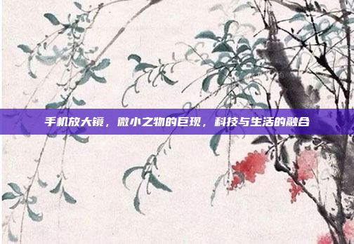 手机放大镜,微小之物的巨现,科技与生活的融合