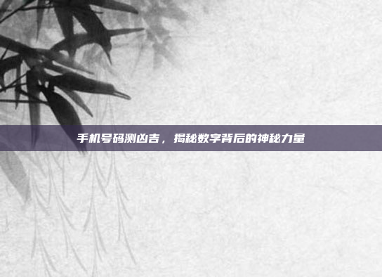 手机号码测凶吉,揭秘数字背后的神秘力量