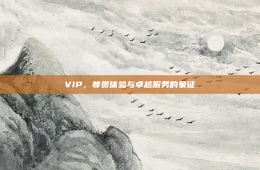 VIP,尊贵体验与卓越服务的象征