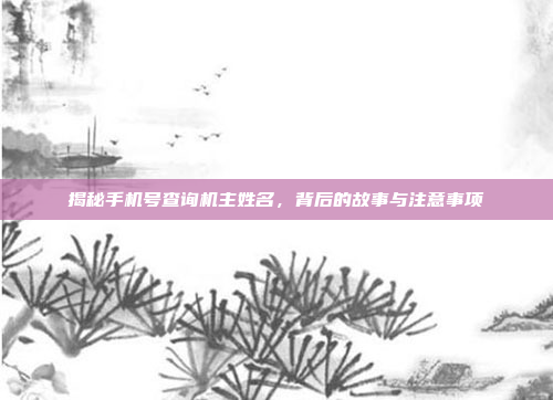 揭秘手机号查询机主姓名,背后的故事与注意事项