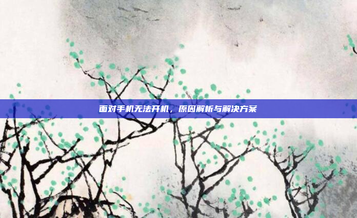 面对手机无法开机,原因解析与解决方案