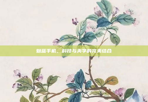 魅蓝手机,科技与美学的完美结合