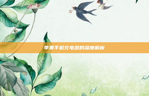 苹果手机充电器的深度解析