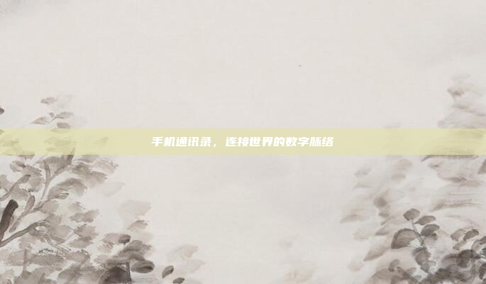手机通讯录,连接世界的数字脉络