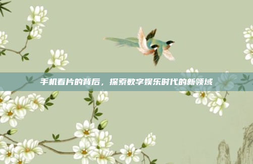 手机看片的背后,探索数字娱乐时代的新领域