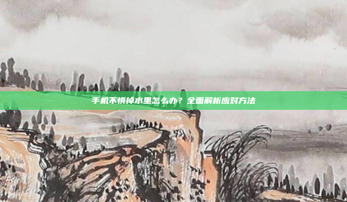 手机不慎掉水里怎么办？全面解析应对方法