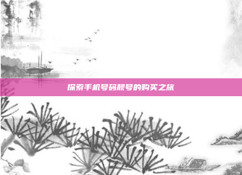 探索手机号码靓号的购买之旅