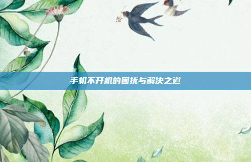 手机不开机的困扰与解决之道