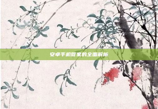 安卓手机管家的全面解析