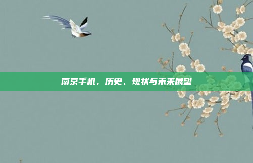 南京手机,历史、现状与未来展望