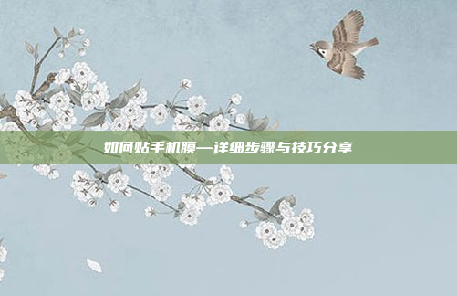 如何贴手机膜—详细步骤与技巧分享