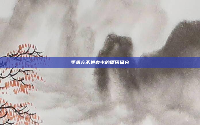 手机充不进去电的原因探究
