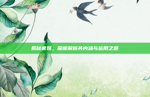 揭秘套路,深度解析其内涵与运用之道