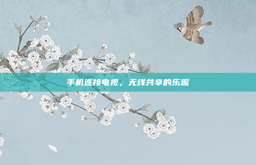 手机连接电视,无线共享的乐趣