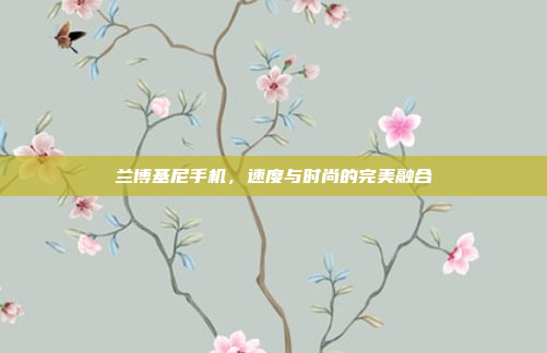 兰博基尼手机,速度与时尚的完美融合
