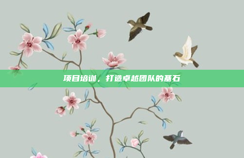 项目培训,打造卓越团队的基石