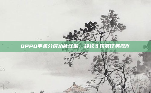 OPPO手机分屏功能详解,轻松实现多任务操作