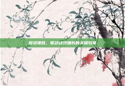 投资项目,驱动经济增长的关键引擎