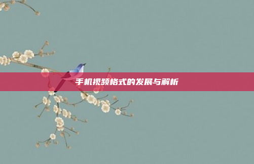 手机视频格式的发展与解析