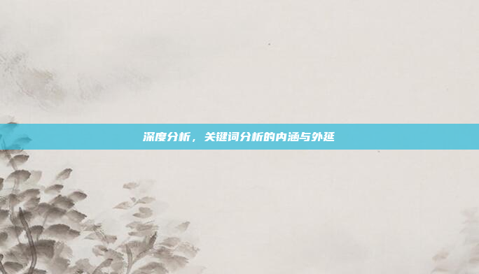 深度分析,关键词分析的内涵与外延