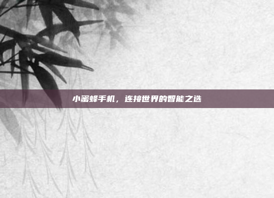小蜜蜂手机,连接世界的智能之选