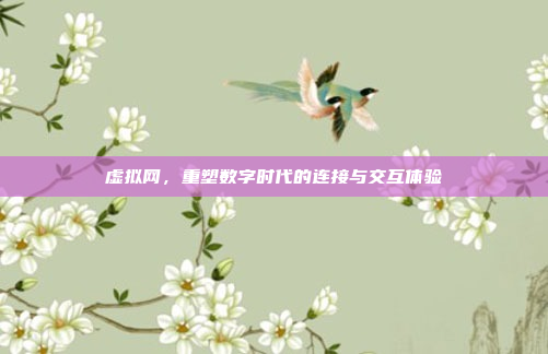 虚拟网,重塑数字时代的连接与交互体验