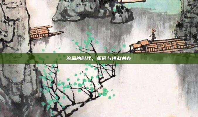 流量的时代,机遇与挑战共存