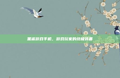 黑鲨游戏手机,游戏玩家的终极装备