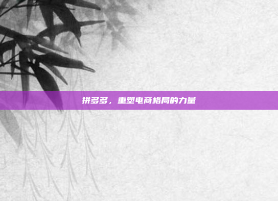 拼多多,重塑电商格局的力量