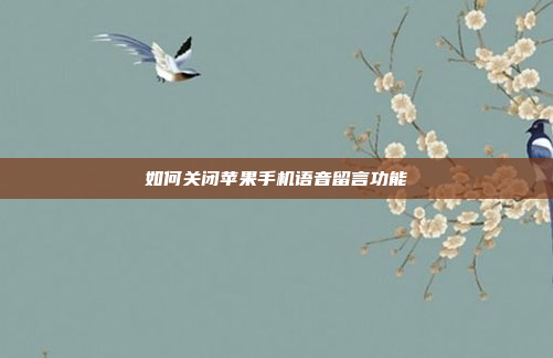 如何关闭苹果手机语音留言功能