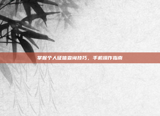 掌握个人征信查询技巧,手机操作指南