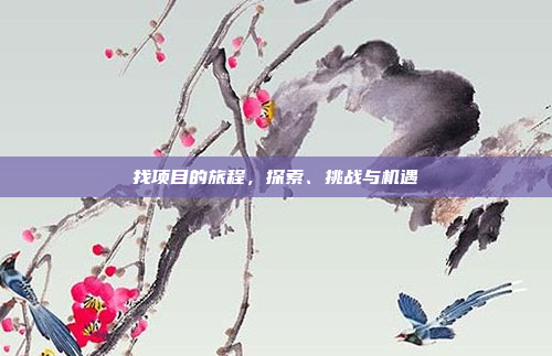 找项目的旅程,探索、挑战与机遇