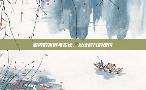 国内的发展与变迁,见证时代的步伐