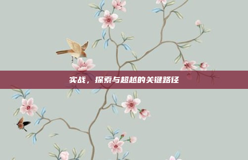 实战,探索与超越的关键路径