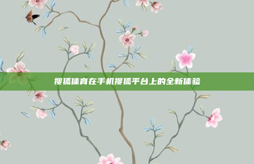 搜狐体育在手机搜狐平台上的全新体验