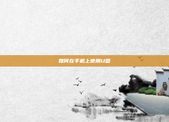 如何在手机上使用U盘