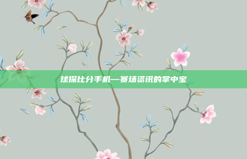 球探比分手机—赛场资讯的掌中宝