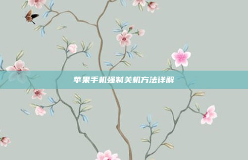 苹果手机强制关机方法详解