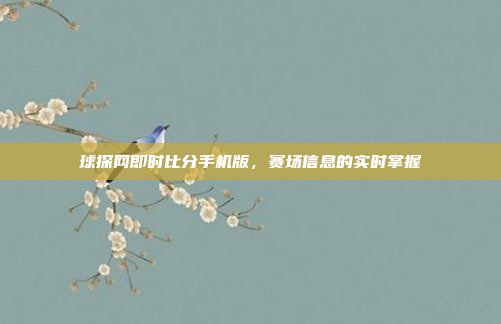 球探网即时比分手机版，赛场信息的实时掌握