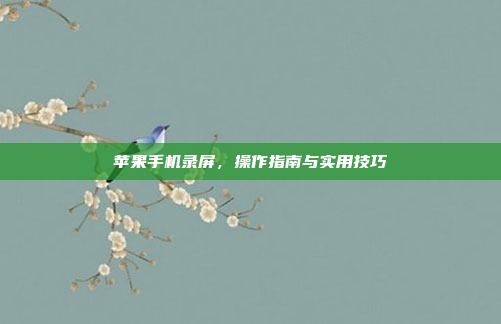 苹果手机录屏，操作指南与实用技巧