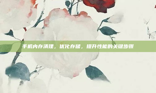 手机内存清理，优化存储，提升性能的关键步骤
